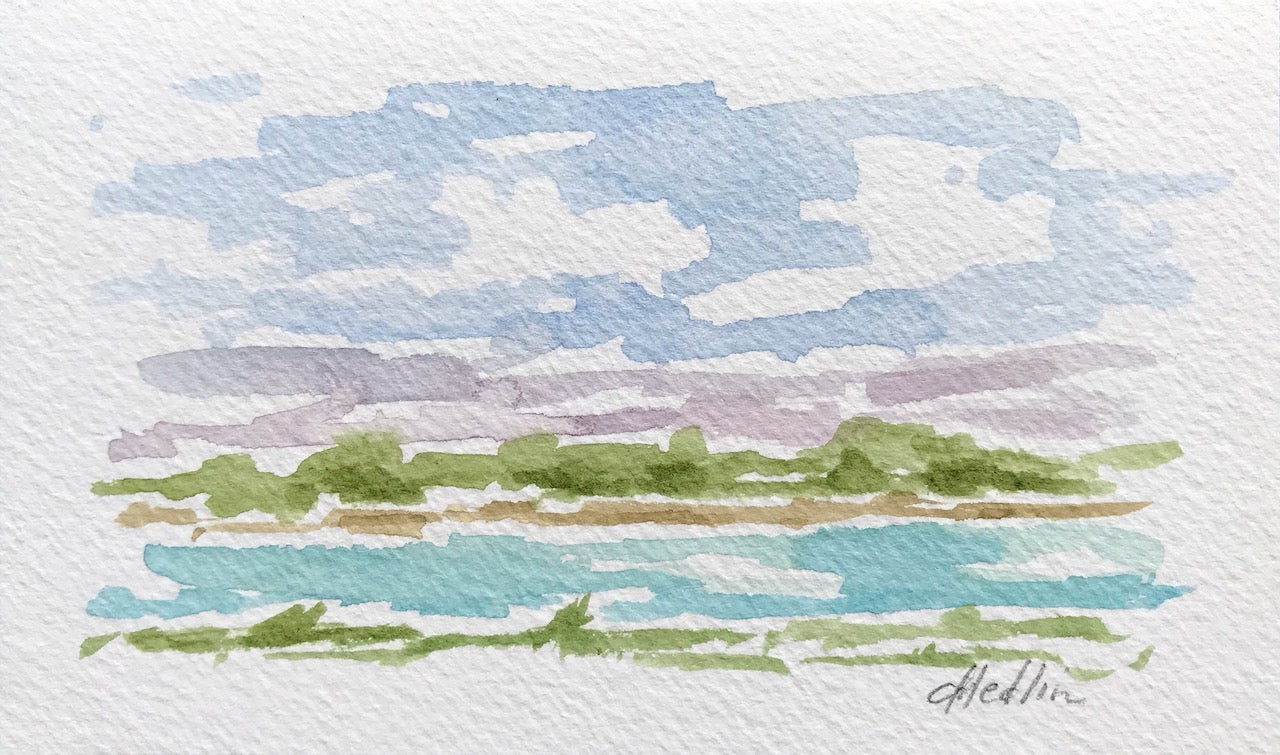 Lowcountry VII