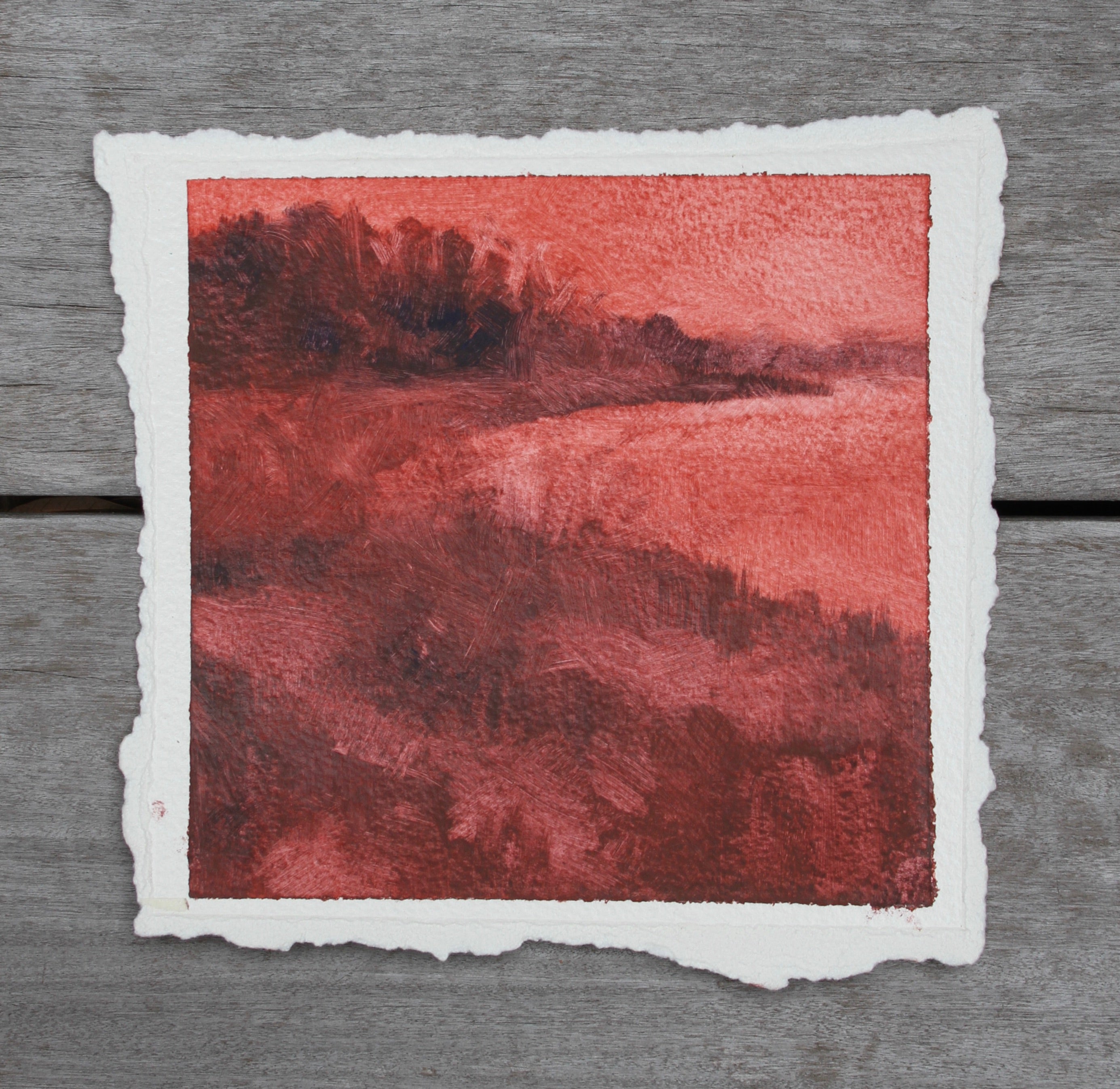 May River Shore