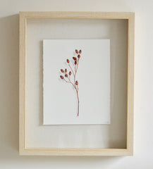 Acorn Study 4