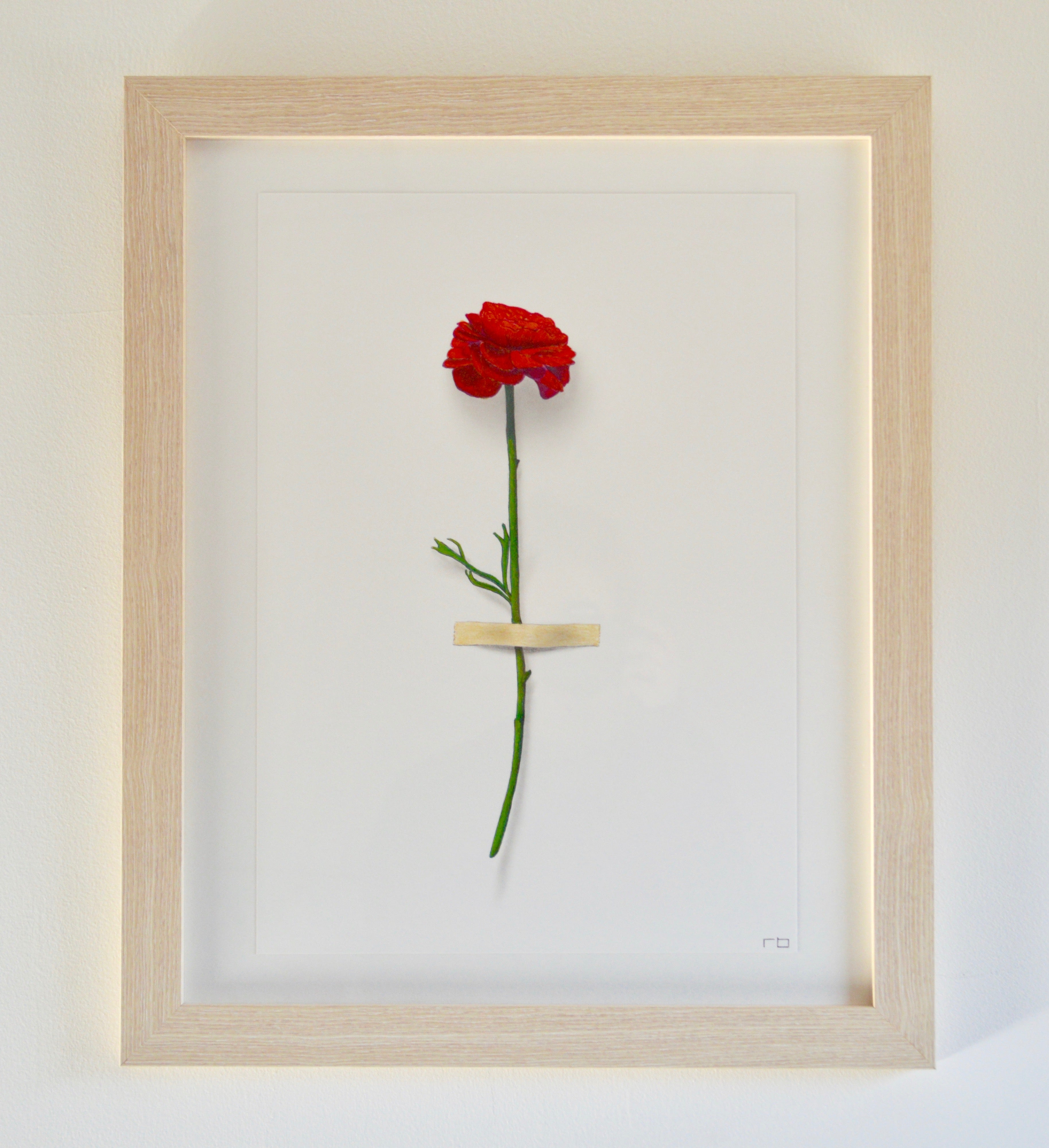 Red Flower Study