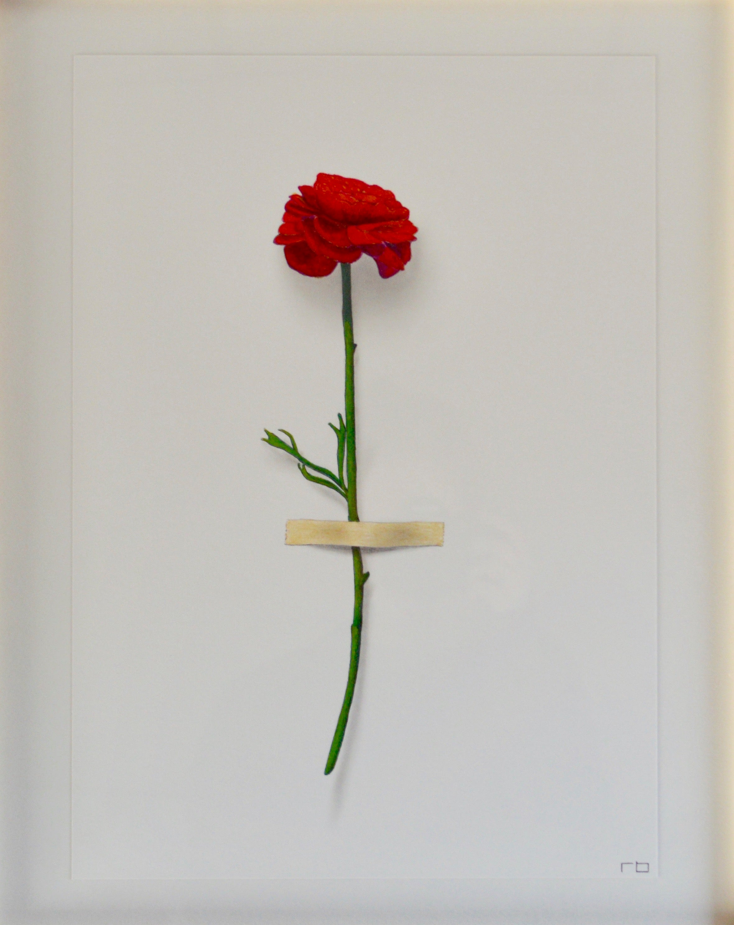 Red Flower Study