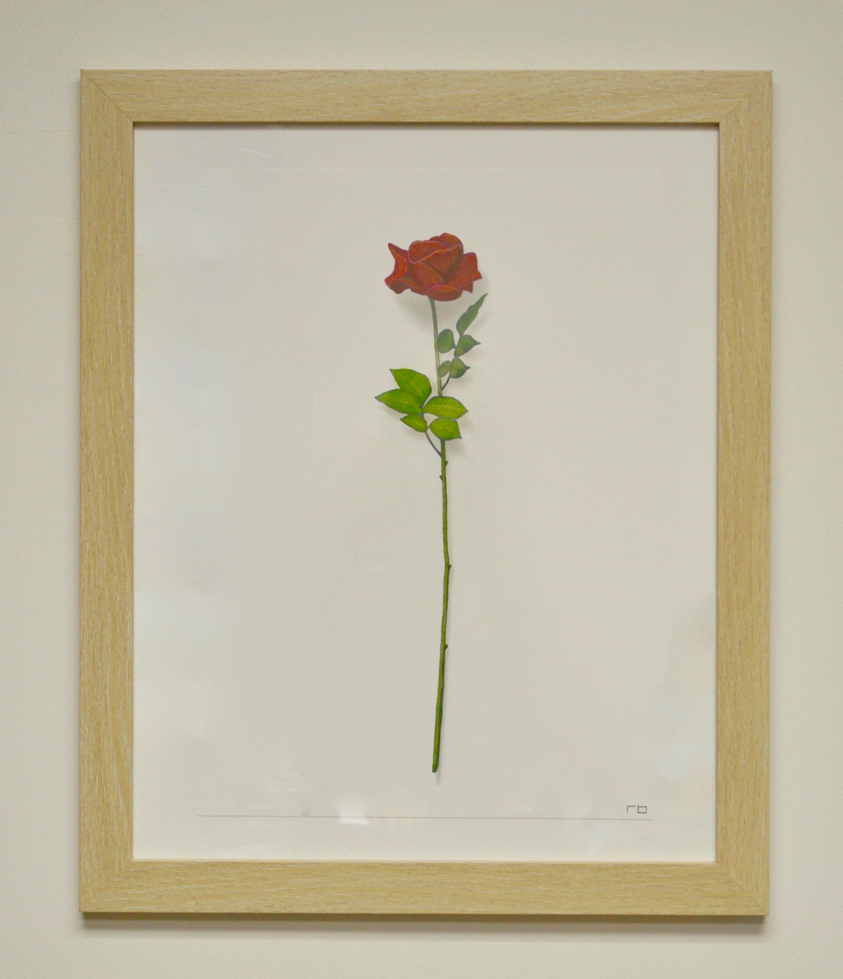 Rose Study
