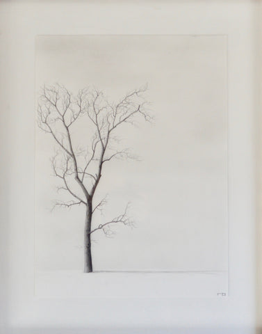Tree Study