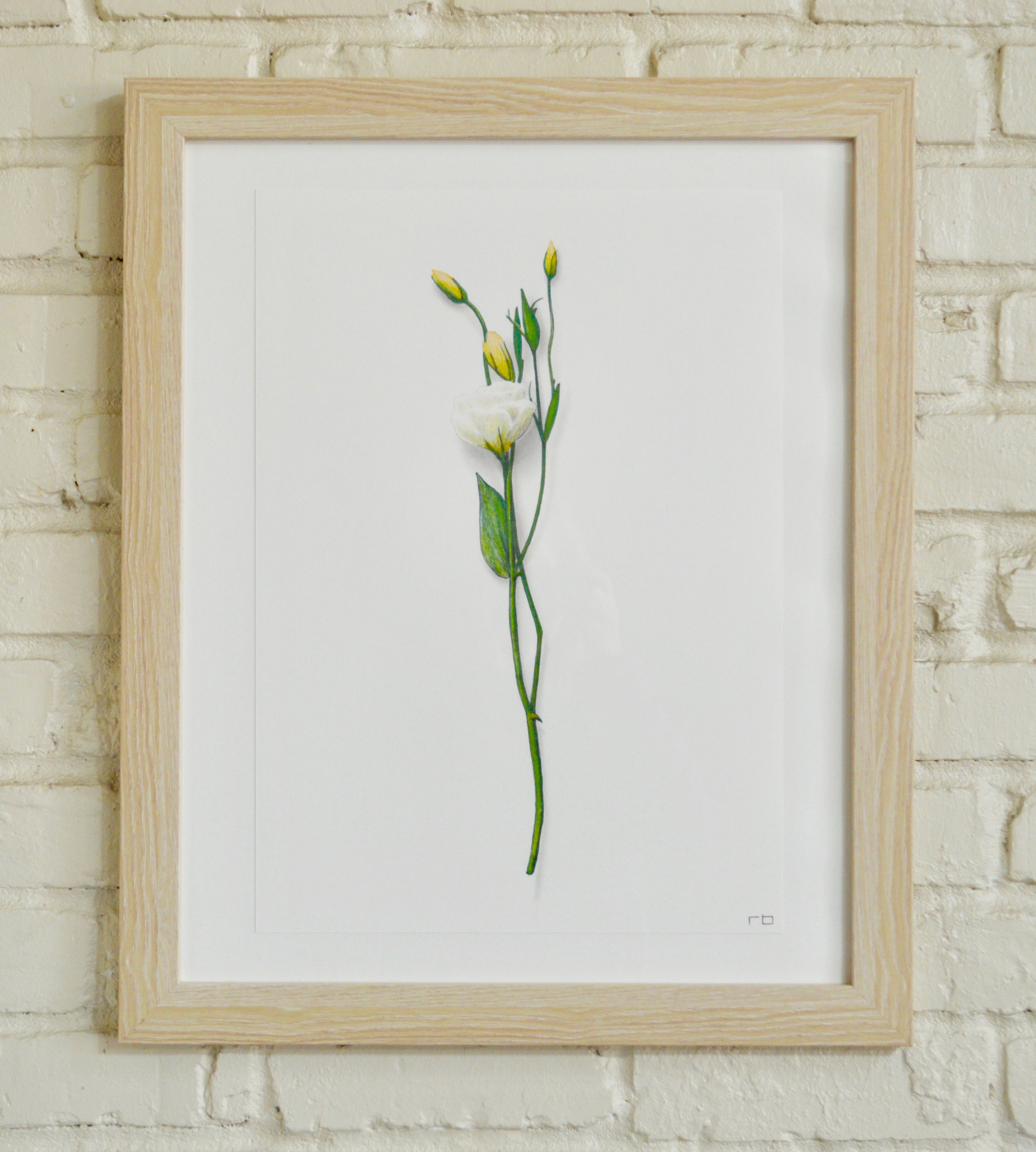 White Flower Study 1