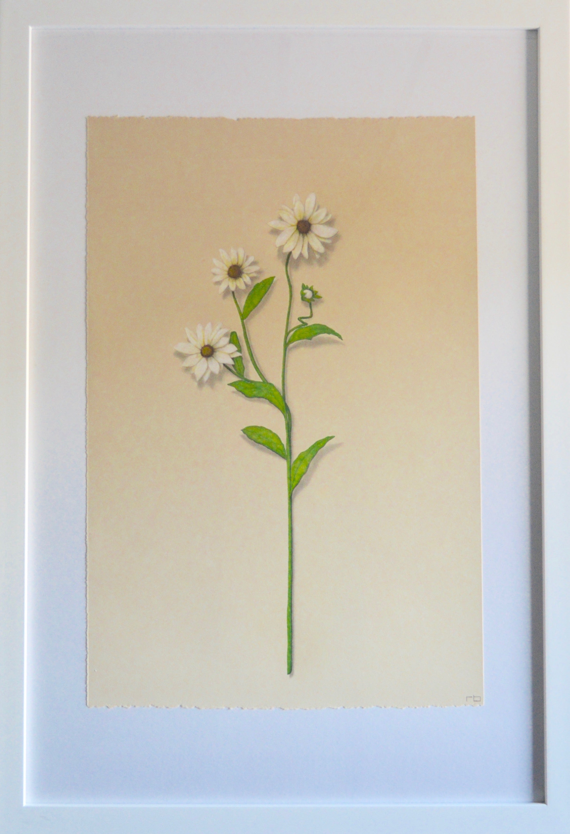 Wildflower