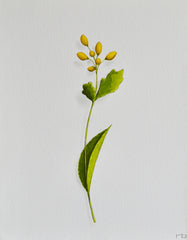 Yellow Flower 2
