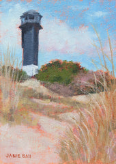Sullivan's Island Beach Path