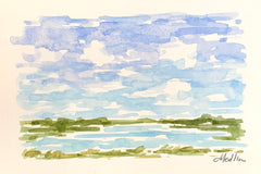 Tidal Marsh X