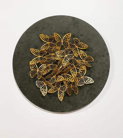 Butterfly Disk
