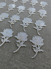 Pinned Roses 3