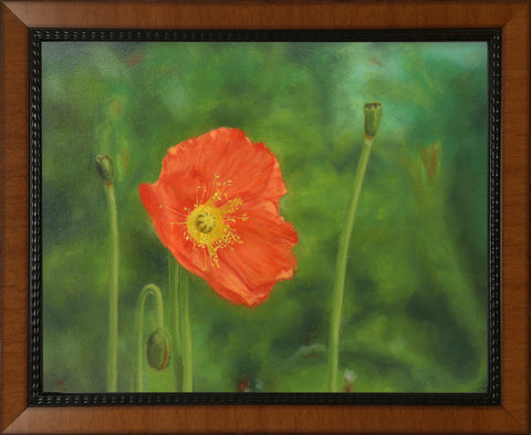 Poppy